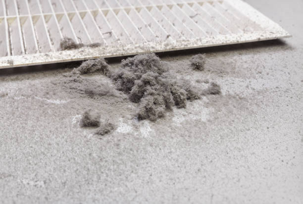 Best Best Air Duct Cleaning Company  in Gainesboro, TN