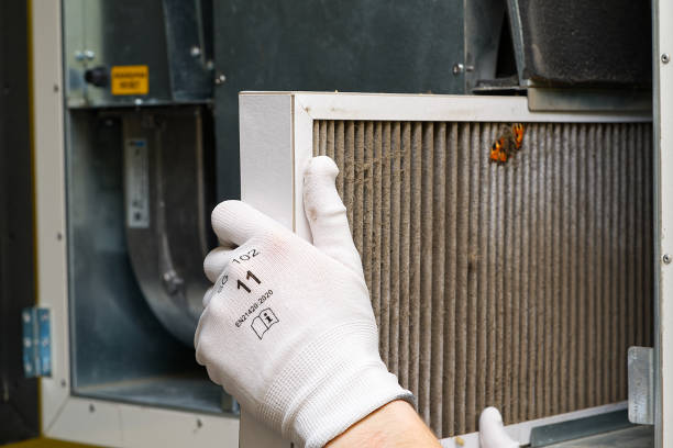 Best Air Duct Cleaning Company Near Me  in Gainesboro, TN